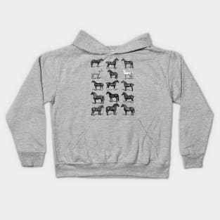 Vintage Horse Breed Chart Kids Hoodie